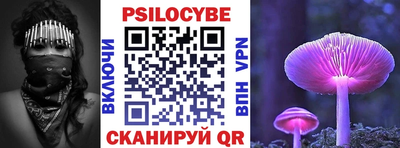 купить наркотик  Армавир  kraken   Псилоцибиновые грибы ЛСД 